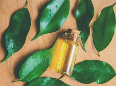 benefits of tea tree oil for skin